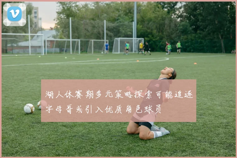 湖人休赛期多元策略探索可能追逐字母哥或引入优质角色球员