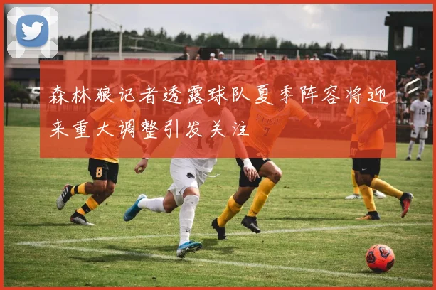 森林狼记者透露球队夏季阵容将迎来重大调整引发关注